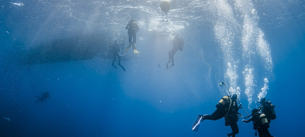 Open Water Diver desde Basic Diver