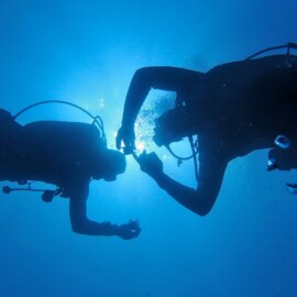 open water o bautizo