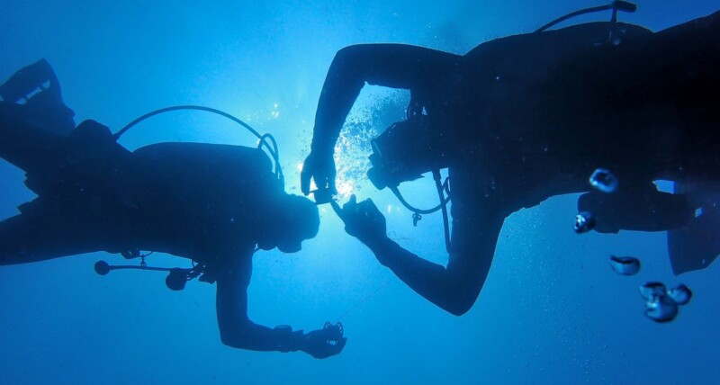 open water o bautizo
